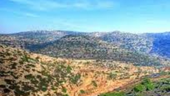 Tourisme : TYOUL EN SAMARIE – pour Tou Bichvat célebrons ensemble la terre d’Israel !!!! Tourisme : TYOUL EN SAMARIE – pour Tou Bichvat célebrons ensemble la terre d’Israel !!!!