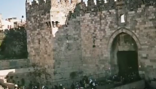 Le tourisme juif en Israël : une histoire de pigeons par Gerard Fredj Le tourisme juif en Israël : une histoire de pigeons par Gerard Fredj