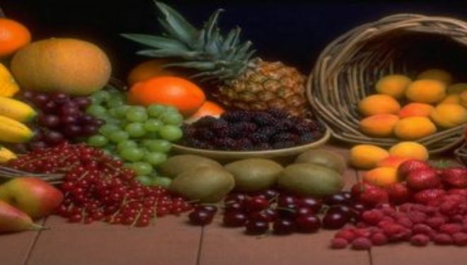 Tou Bishvat Sameah ! par Caroline Elishéva REBOUH Tou Bishvat Sameah ! par Caroline Elishéva REBOUH