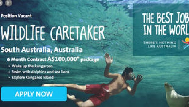 Des jobs de rêve à 13.000 euros par mois à décrocher en Australie ! Des jobs de rêve à 13.000 euros par mois à décrocher en Australie !