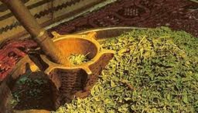 Henna Déco vous organise des Hennés « sur mesure » dans la pure tradition orientale ! Henna Déco vous organise des Hennés « sur mesure » dans la pure tradition orientale !