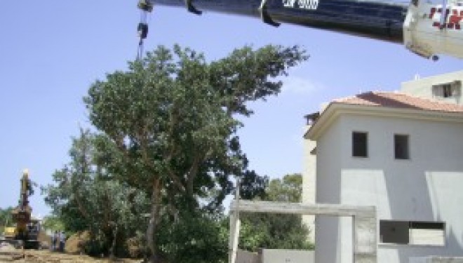 Une ville en Israël: Ashkelon entre passé et avenir ! Une ville en Israël: Ashkelon entre passé et avenir !