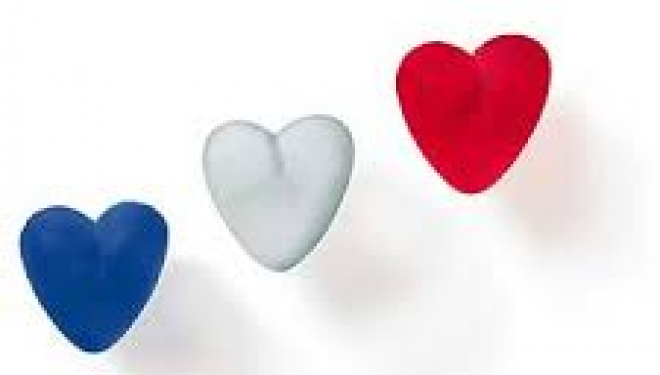 French excellence en bleu et blanc French excellence en bleu et blanc