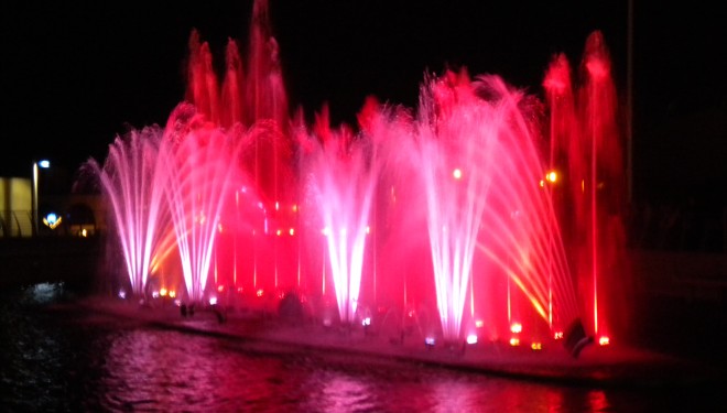 « d’ici et d’ailleurs » : Flambant neufs, flamboyants, les flamants d’Ashdod… « d’ici et d’ailleurs » : Flambant neufs, flamboyants, les flamants d’Ashdod…