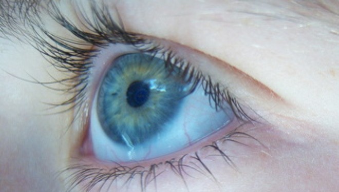 Des lentilles de contact bioniques pour les personnes aveugles Des lentilles de contact bioniques pour les personnes aveugles