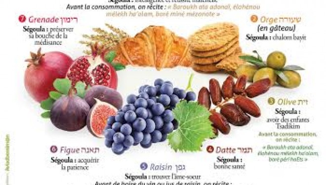 Le Seder de Tou Bichvat Le Seder de Tou Bichvat