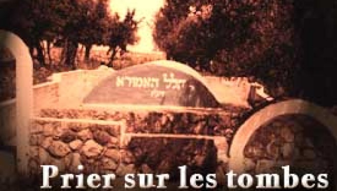 Pellerinez les Tsadikim avec Shavei Tsion Pellerinez les Tsadikim avec Shavei Tsion