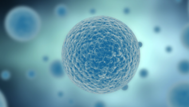 Cancer : Israël invente les “nano-missiles” pour cibler les tumeurs Cancer : Israël invente les “nano-missiles” pour cibler les tumeurs