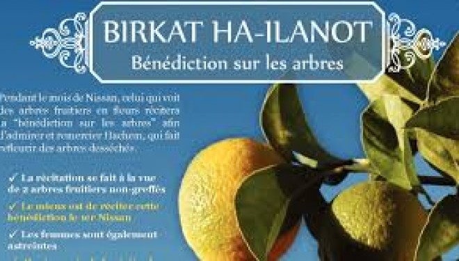 Birkat ha-Ilanot : Quand et Comment Birkat ha-Ilanot : Quand et Comment