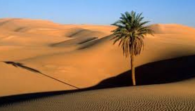 Sortir d’Égypte ! Sortir d’Égypte !