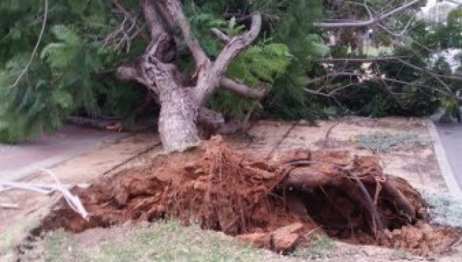 Ashdod : Pluie et vents violents, une tempête que l’on attendait pas Ashdod : Pluie et vents violents, une tempête que l’on attendait pas