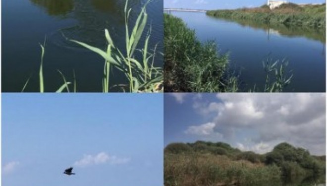 La rivière Lakhish retrouve son état naturel La rivière Lakhish retrouve son état naturel