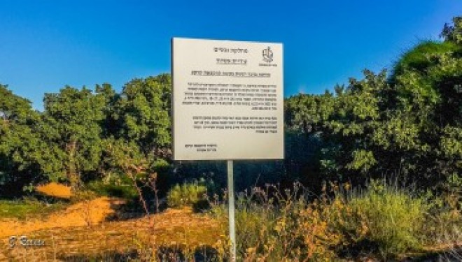 Le forum de l’environnement contre l’octroi d’un terrain de 45 hectares à l’université Sami Shamoun d’Ashdod Le forum de l’environnement contre l’octroi d’un terrain de 45 hectares à l’université Sami Shamoun d’Ashdod
