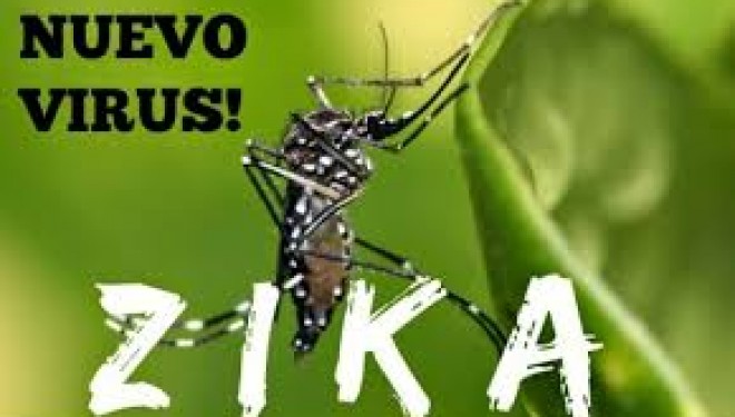 Le Virus Zika – mise à jour des recommandations et politique de la transmission active Le Virus Zika – mise à jour des recommandations et politique de la transmission active