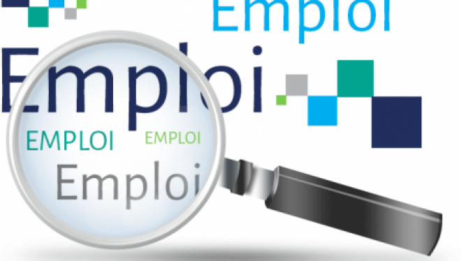 Emploi : Recherche une personne en charge du marketing digital à Raanana Emploi : Recherche une personne en charge du marketing digital à Raanana