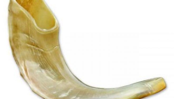 le shofar, la corne du bélier ! le shofar, la corne du bélier !