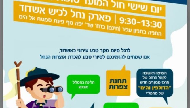 Le guide complet des activités de souccot a Ashdod et dans les environs Le guide complet des activités de souccot a Ashdod et dans les environs