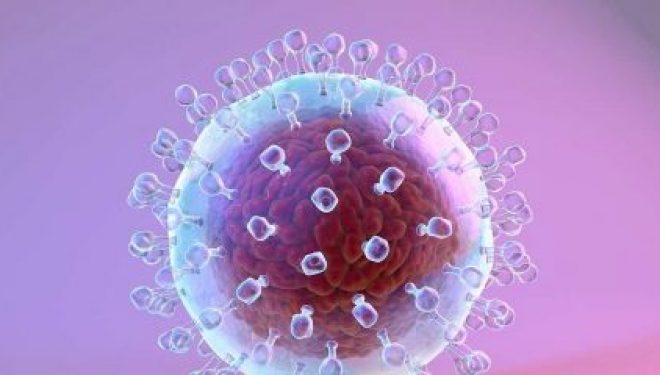 Hépatite C : une découverte historique qui devrait aider à créer un vaccin Hépatite C : une découverte historique qui devrait aider à créer un vaccin