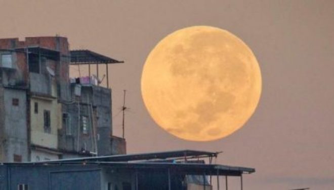 Avez vous vu ce 14 novembre la plus grande et la plus lumineuse »super lune » ? Avez vous vu ce 14 novembre la plus grande et la plus lumineuse »super lune » ?