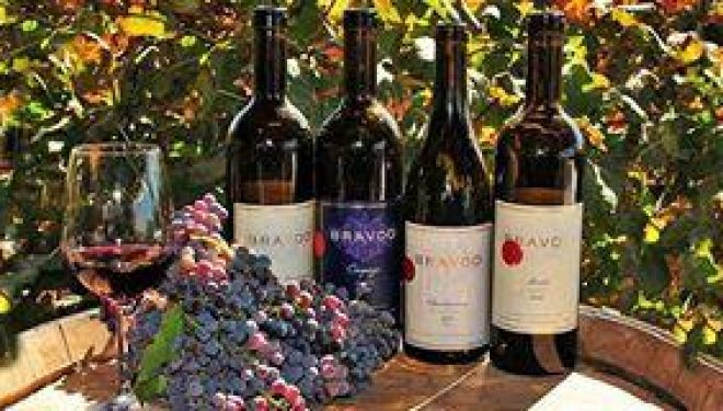 A 30 minutes en voiture d’Ashdod, dans le village de Karmei Yossef, se trouve un magnifique vignoble a découvrir ! A 30 minutes en voiture d’Ashdod, dans le village de Karmei Yossef, se trouve un magnifique vignoble a découvrir !