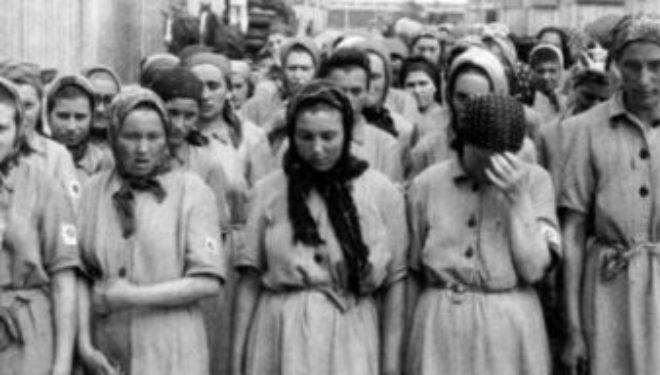 Shoah : les juifs d’Algérie éligibles à des indemnités allemandes Shoah : les juifs d’Algérie éligibles à des indemnités allemandes