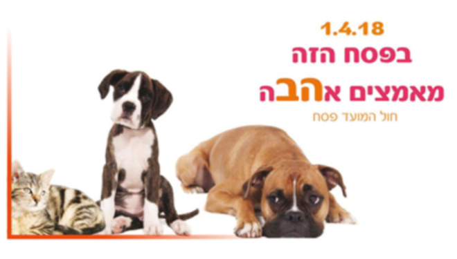 Ashdod : moi aussi je veux une maison chaleureuse !!! Salon animalier avec de nombreuses animations pour enfants ! Ashdod : moi aussi je veux une maison chaleureuse !!! Salon animalier avec de nombreuses animations pour enfants !