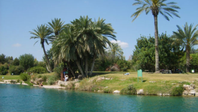 Journée « KEF » à Gan Hashlocha (SAHNE) le Dimanche 10 Juin 2018 avec l’association CFA d’Ashkelon Journée « KEF » à Gan Hashlocha (SAHNE) le Dimanche 10 Juin 2018 avec l’association CFA d’Ashkelon