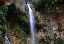 Un inoubliable séjour de luxe au Kibboutz Ein-Guédi