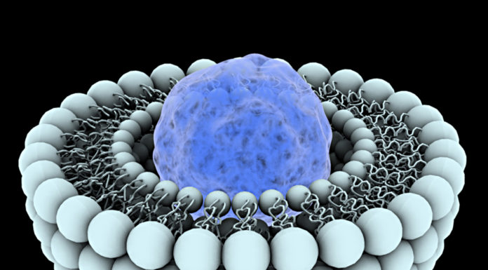 Journée nationale de la Science en Israël