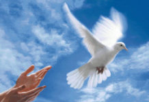 Adieu, Mère Courage par Daniel Gal