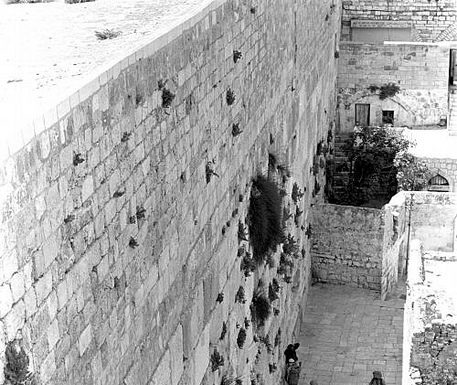 Le M.D.A.en Israël en état d’alerte maximum pour Yom Kippour et recommandations pour jeûner en sécurité