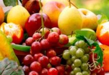 L’association Shavei Tsion fete Tou Bichvat le 31 janvier 2018 dés 13 h et vous attend nombreux