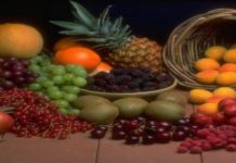 Tou Bishvat Sameah ! par Caroline Elishéva REBOUH