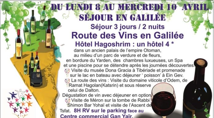 la route des vins en Galilée avec l’espace francophone