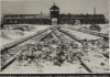 Journée internationale de la Shoah : Historique, la moitié de la Knesset se recueille à Auschwitz !