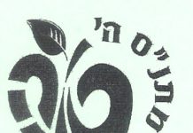 Matnas He Tene : activités proposées par Ruth Betito