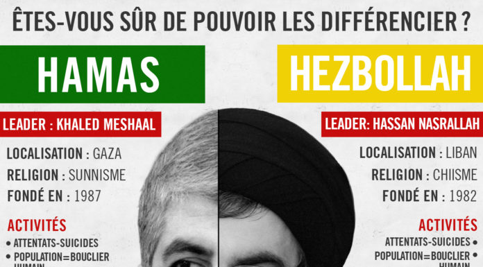 Hamas / Hezbollah : connaissez-vous les différences ?