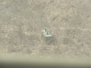 Engin explosif placé près de la barrière de sécurité de Gaza – Photo d’archive