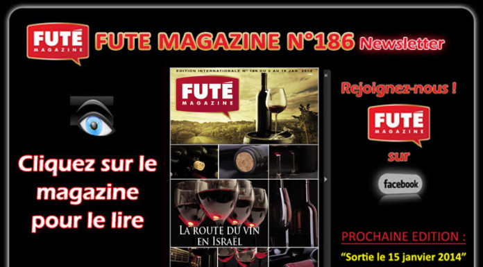 Futé Magazine : sur la route du vin en Israël