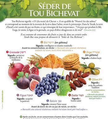 Le Seder de Tou Bichvat