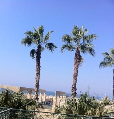 Location saisonnière à la Marina d’Ashkelon face à la mer