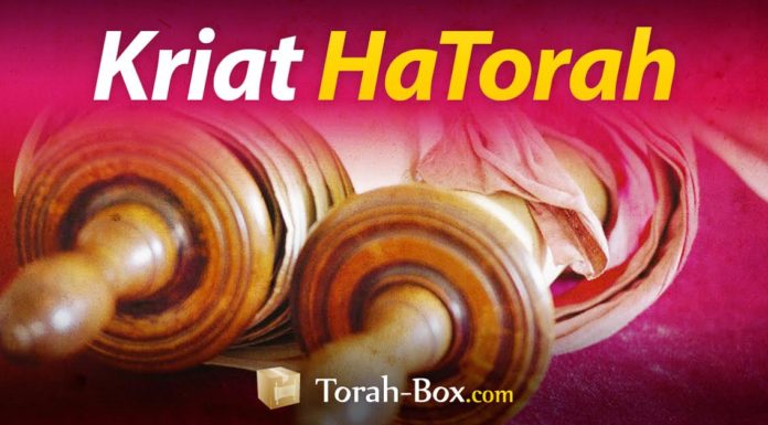 Nouveau! Apprenez la Paracha gratuitement sur www.torah-box.com/kria