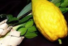 Espace Francophone : Un repas de Souccoth en présence du Rav Garzon, ancien grand rabbin de Madrid