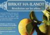 Birkat ha-Ilanot : Quand et Comment