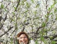 Birkat ha-Ilanot et les femmes / En cas d’oubli