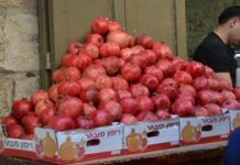 Retour des fruits et légumes de Gaza sur les étals israéliens