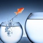 Expatriés : 5 conseils à mettre en œuvre pour être acteur de votre carrière !