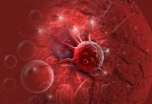 Lutter contre le cancer en combinant magnétisme et lumière