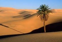 Sortir d’Égypte !