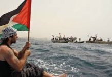 Flotille pour Gaza: Israël intercepte le navire suédois « Marianne »